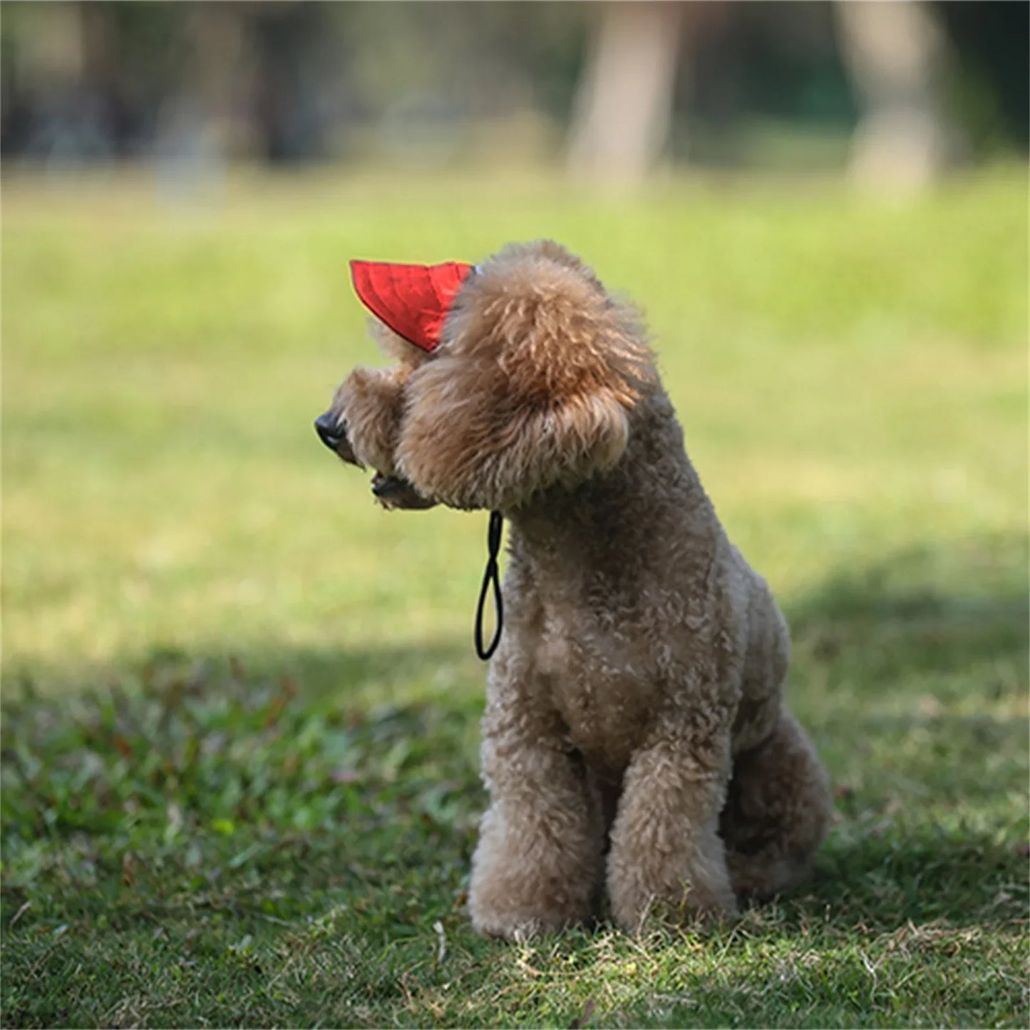 Adjustable Pet Hat