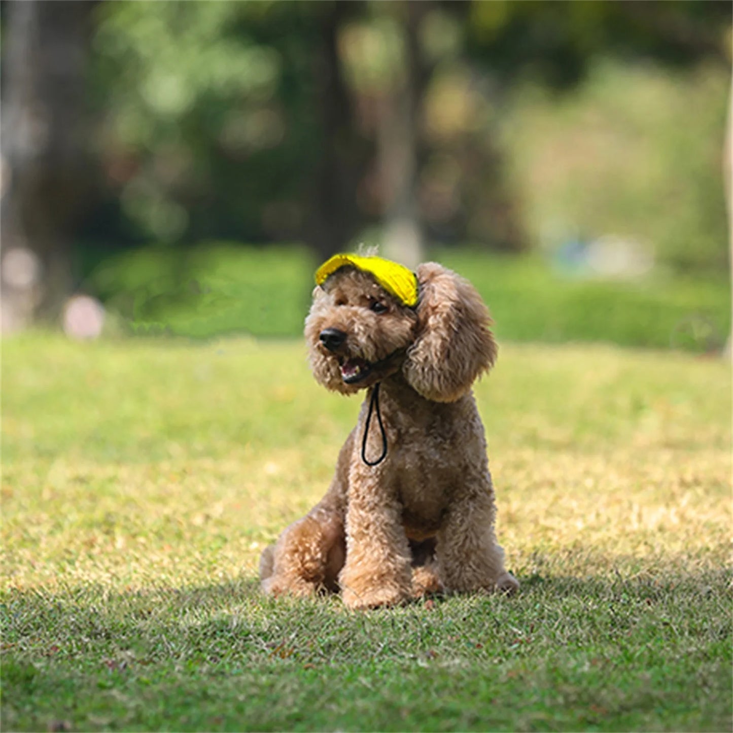 Adjustable Pet Hat